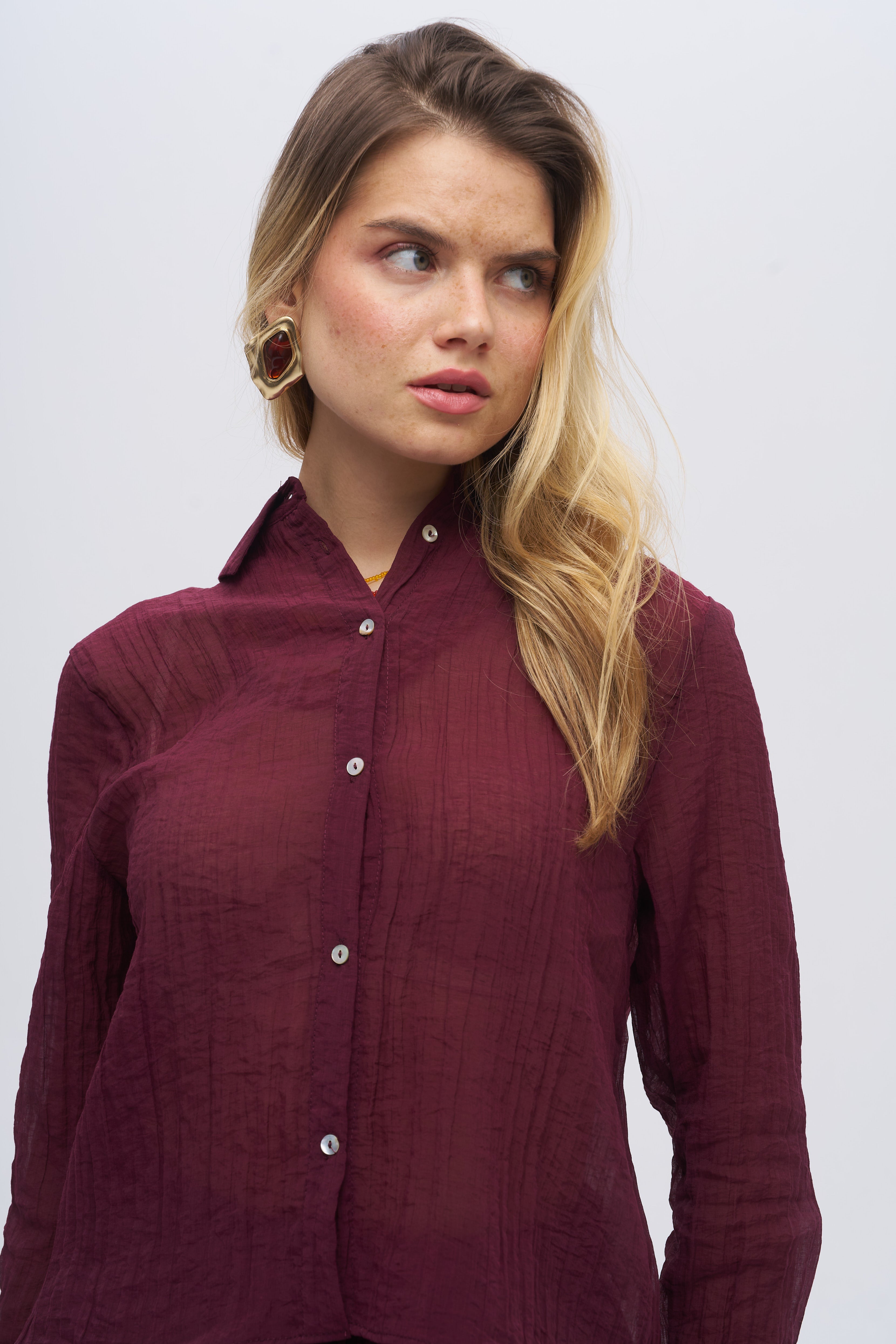 Çizgi Dokulu Klasik Yaka Transparan Gömlek