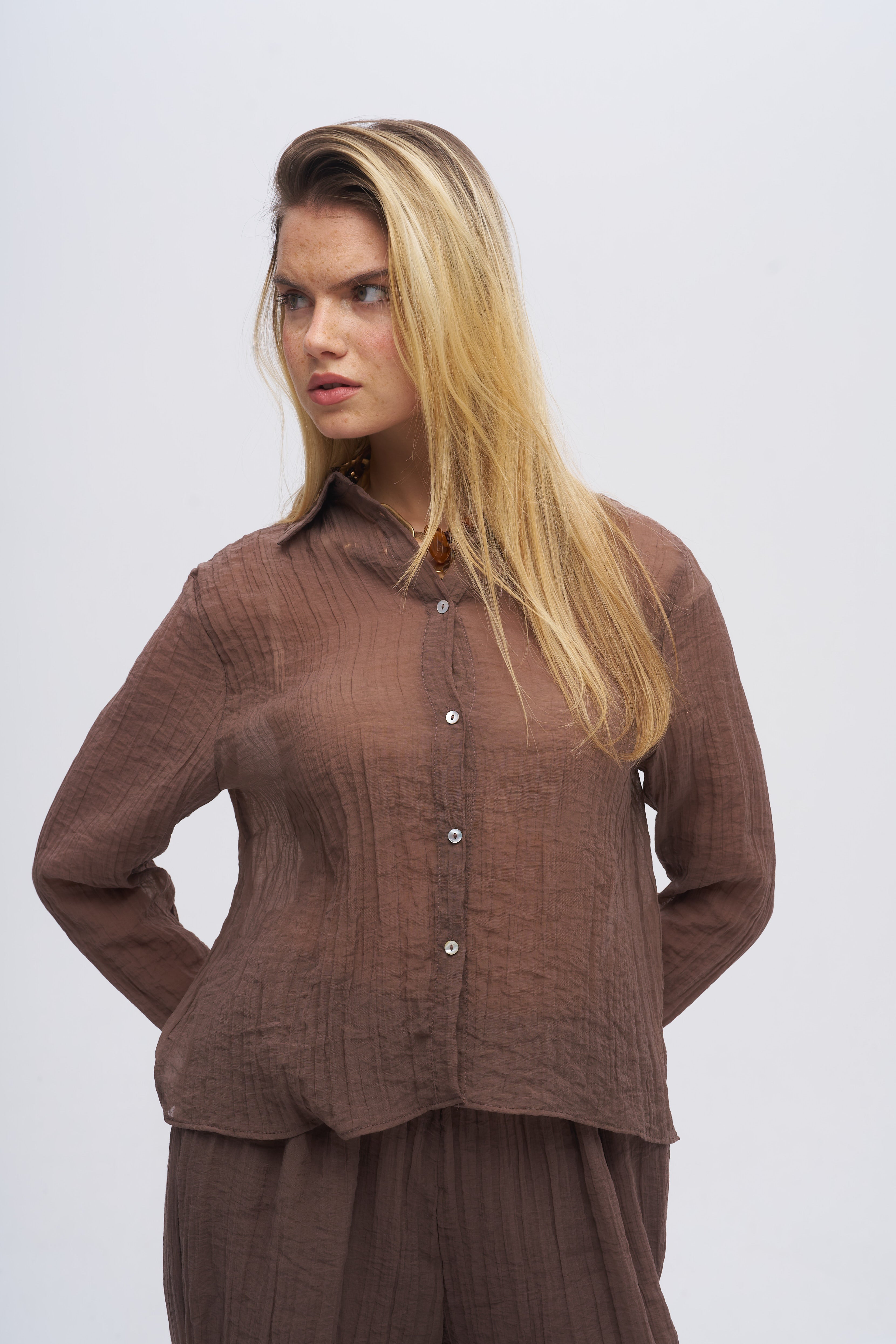 Çizgi Dokulu Klasik Yaka Transparan Gömlek Kahve